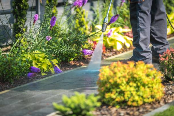  Listoga, CA Pressure Washing Pros
